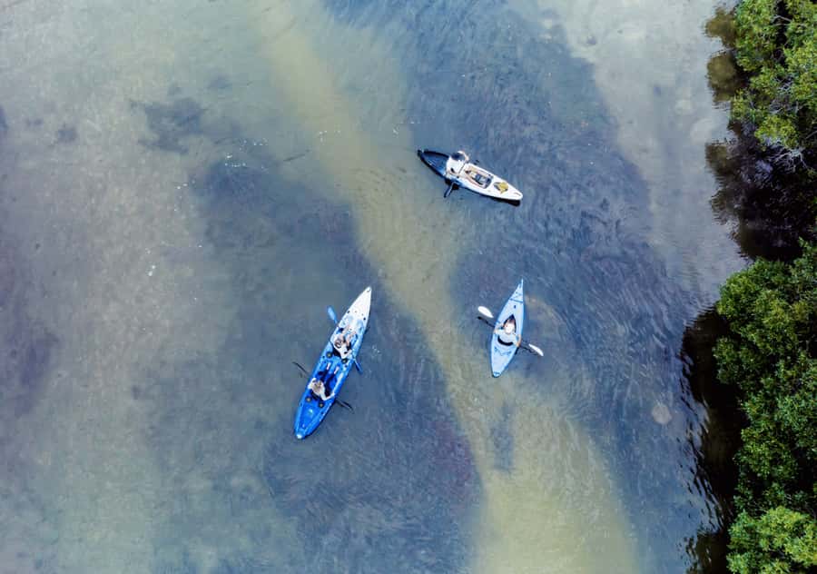 Noosa: Noosa Everglades and Stingray Sanctuary Kayak Tour - Lake Weyba, the quiet southern end of the Everglades