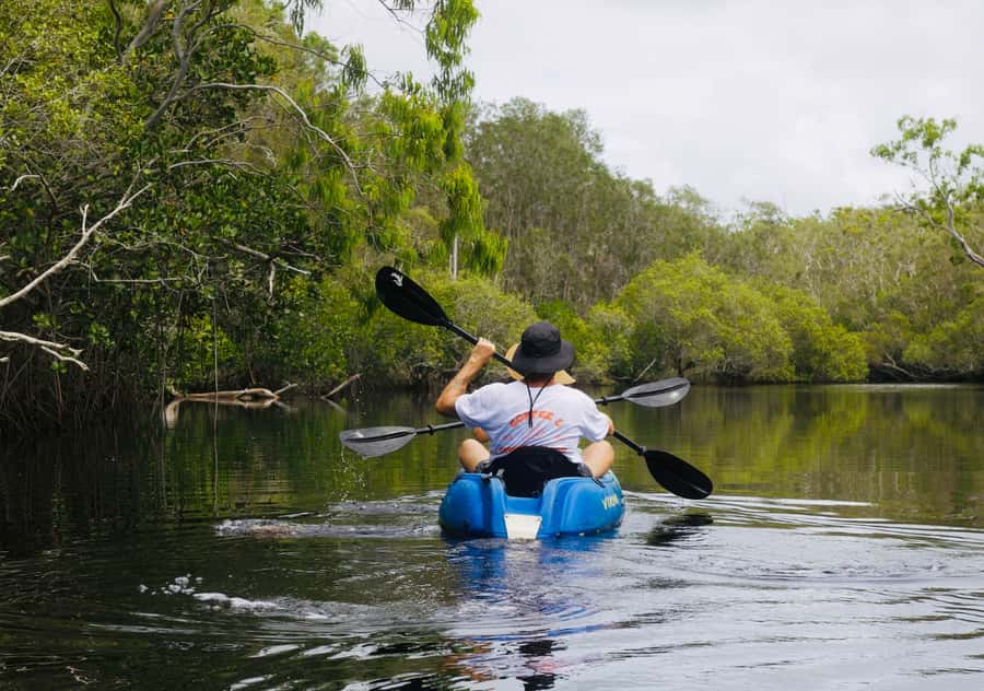 Noosa: Noosa Everglades and Stingray Sanctuary Kayak Tour - What the three-hour paddle feels like