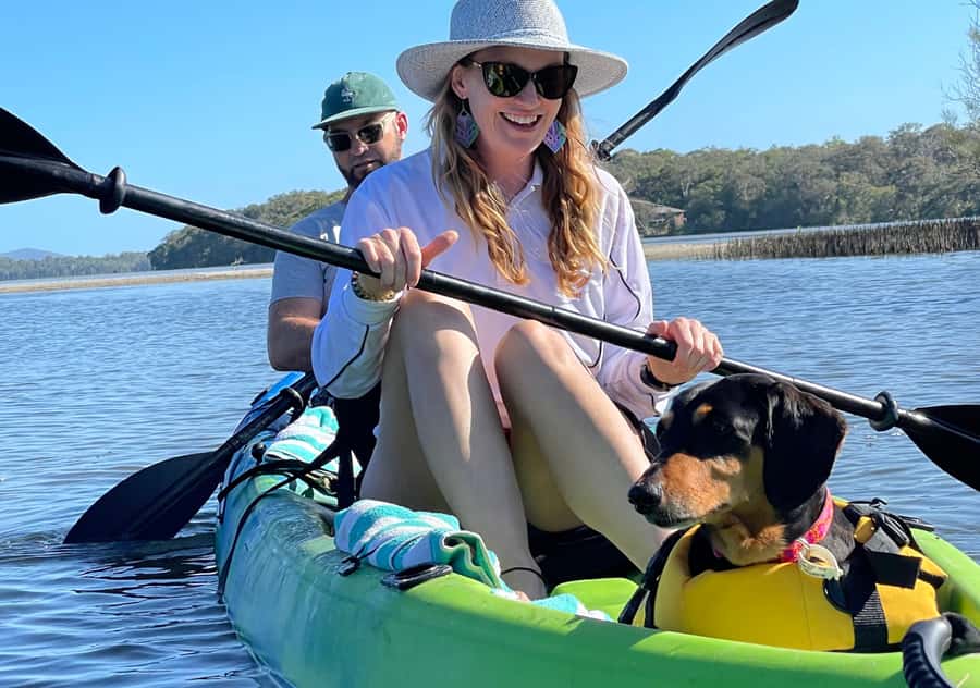 Noosa: Noosa Everglades and Stingray Sanctuary Kayak Tour - Birdlife, kangaroos, and the Noosa Biosphere