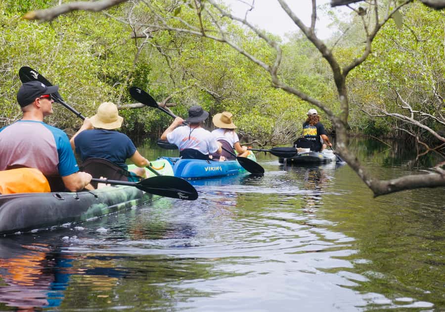 Noosa: Noosa Everglades and Stingray Sanctuary Kayak Tour - A swim in Lake Weyba