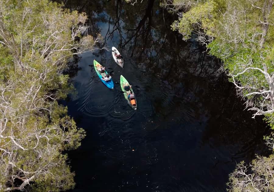 Noosa: Noosa Everglades and Stingray Sanctuary Kayak Tour - The stingray sanctuary near Lake Weyba