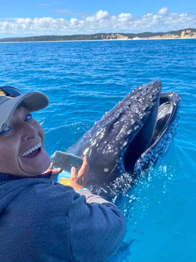 Noosa; Noosa Ocean Adventures - Whale Watching - Why this Noosa whale cruise feels different