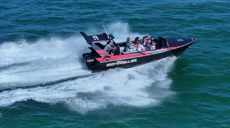 Noosa; Noosa Ocean Adventures - Whale Watching - Looking for humpback whales near Noosa National Park