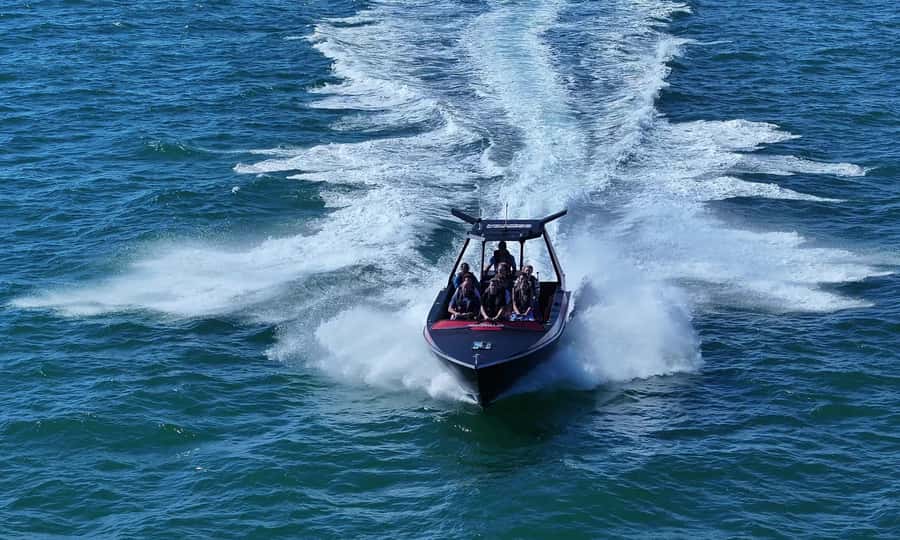 Noosa; Noosa Ocean Adventures - Whale Watching - The practical drawbacks to consider