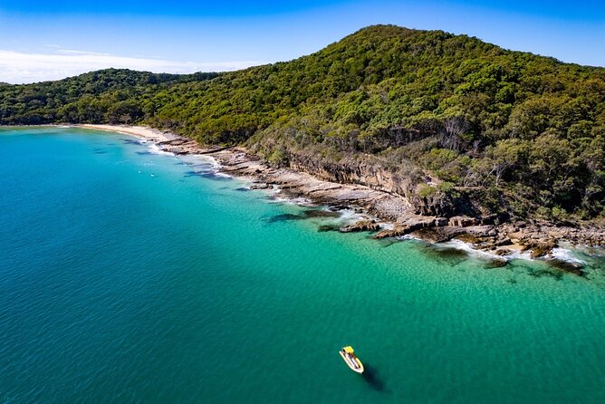 Noosa: Ocean Adventure & Dolphin Safari - Why this Noosa ocean ride is more than a dolphin search