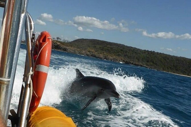 Noosa Ocean adventure & Dolphin Safari. - Main Beach and the view toward the headlands