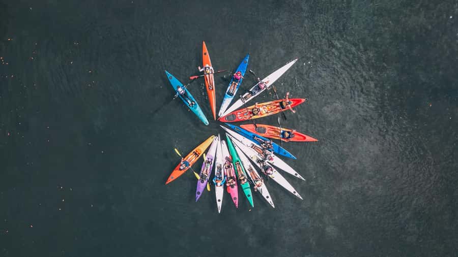 Noosa River: Mangroves and Mansions Guided Kayak Tour - Safety instruction and choosing your kayak