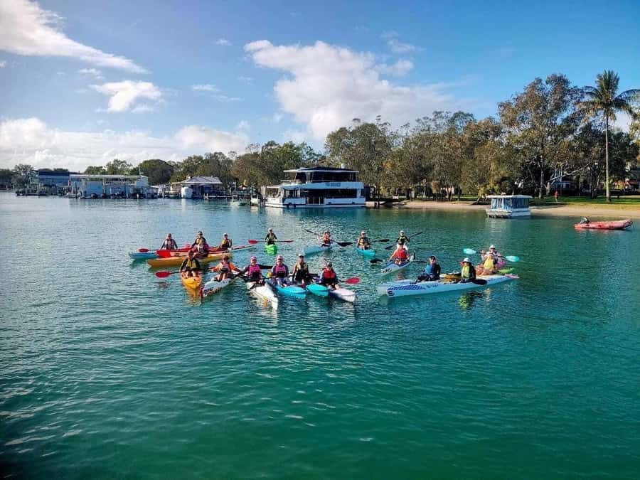 Noosa River: Mangroves and Mansions Guided Kayak Tour - Clothing, comfort, and physical limits