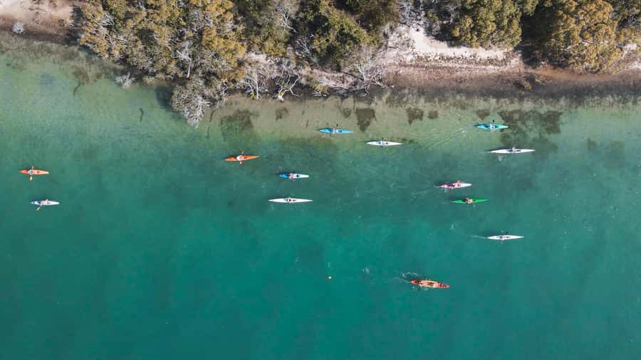 Noosa River: Mangroves and Mansions Guided Kayak Tour - Starting beside The Jetty in Noosaville