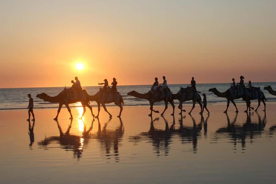 North of Rocks on Cable Beach: 1-Hour Sunset Camel Ride - Key points at a glance
