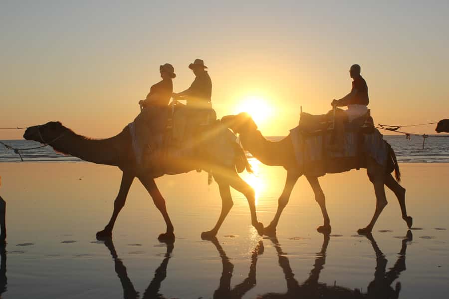 North of Rocks on Cable Beach: 1-Hour Sunset Camel Ride - Alison Bird’s safety talk and camel selection