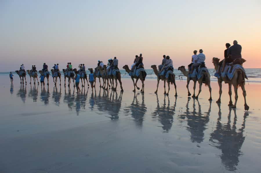 North of Rocks on Cable Beach: 1-Hour Sunset Camel Ride - Finding the camels north of the rocks