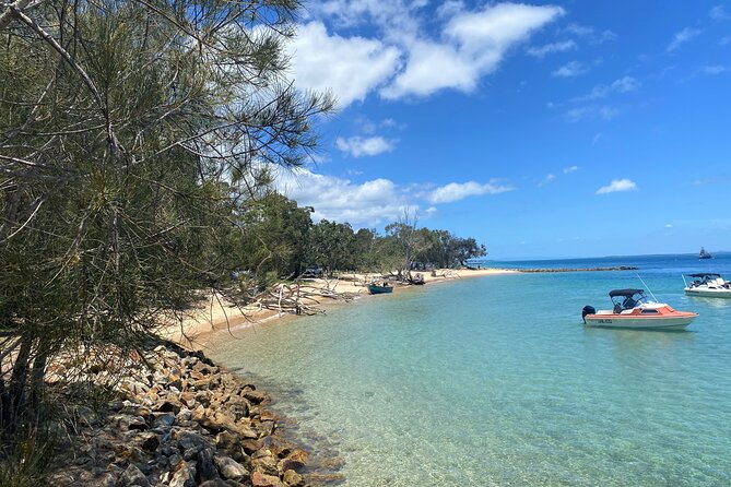 North Stradbroke Island WILDLIFE Adventure Tour from Brisbane - Key points to know before you book