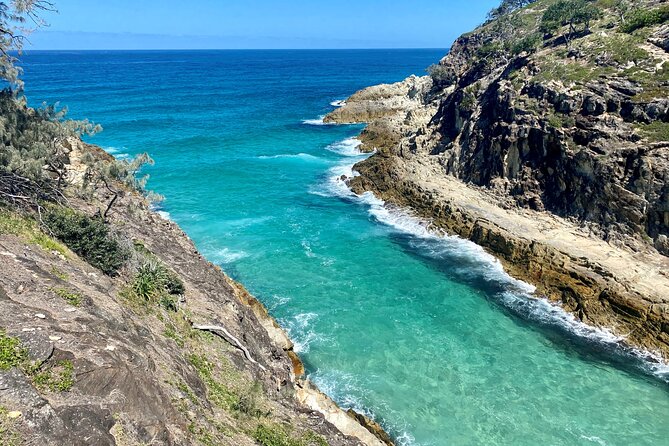 North Stradbroke Island WILDLIFE Adventure Tour from Brisbane - Point Lookout lunch with a view