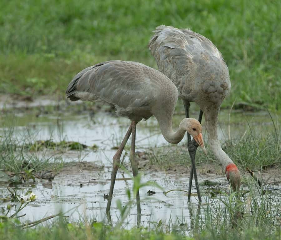 Northern Territory: Corroboree Billabong Nature Cruises - Setting out on the Mary River Wetlands