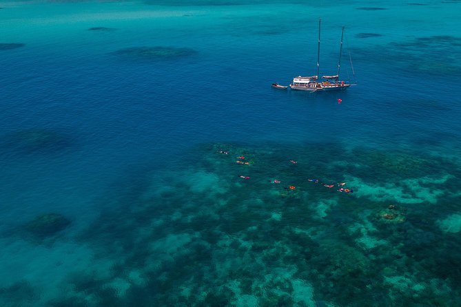 Ocean Free 25 guest Great Barrier Reef & visit Green Island Tour - Why this small Cairns boat matters