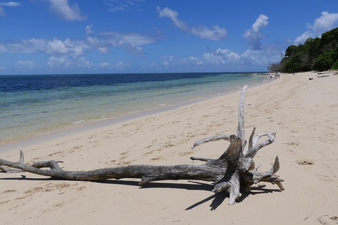 Ocean Free 25 guest Great Barrier Reef & visit Green Island Tour - Lunch aboard the schooner