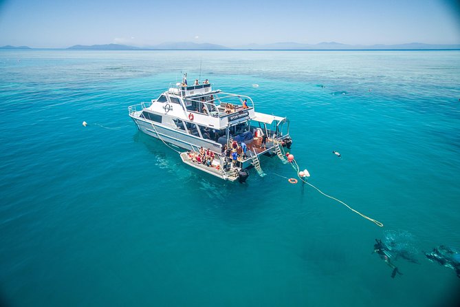 Ocean Freedom Great Barrier Reef Luxury Snorkel and Dive Cruise - A full reef day from Cairns
