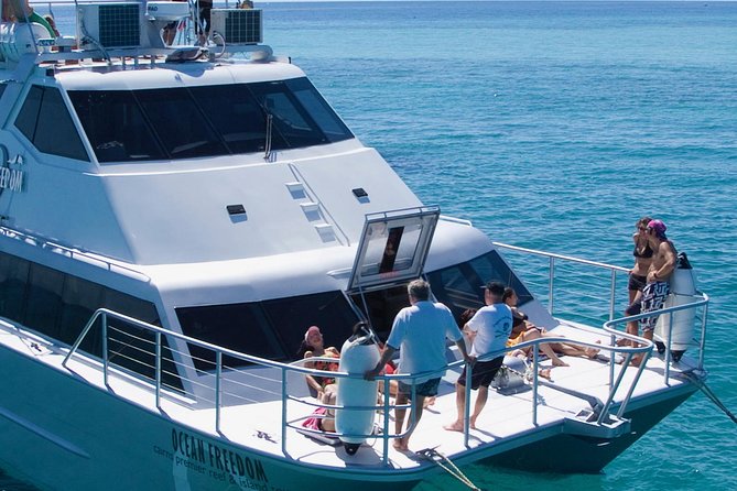 Ocean Freedom Great Barrier Reef Luxury Snorkel and Dive Cruise - Snorkeling help for beginners