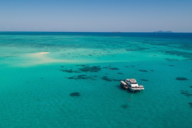 Ocean Freedom Great Barrier Reef Luxury Snorkel and Dive Cruise - Optional scuba for certified and first-time participants