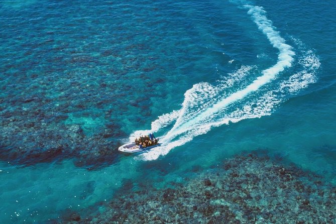 Ocean Freedom Great Barrier Reef Luxury Snorkel and Dive Cruise - Weather, visibility, and the honest trade-off