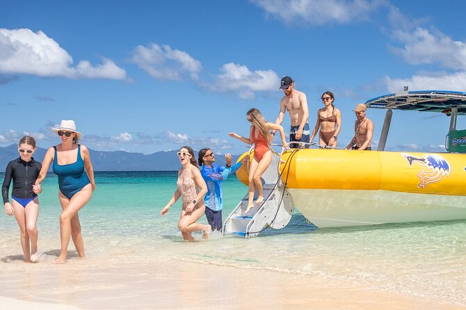 Ocean Safari Great Barrier Reef Experience in Cape Tribulation - Wildlife watching without overpromising