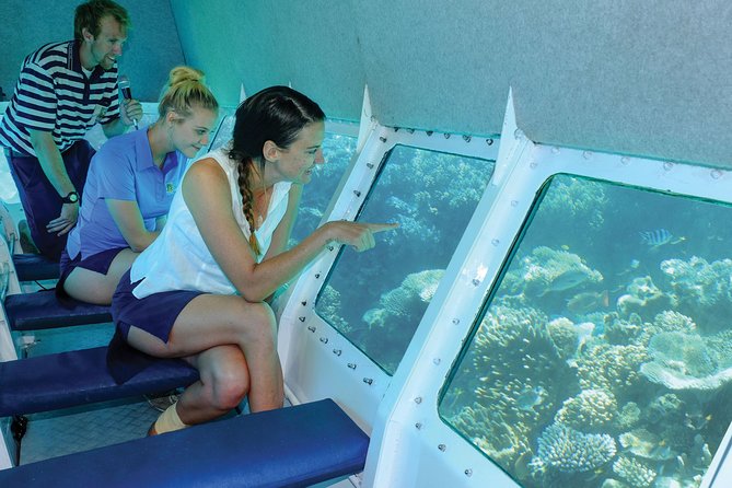 Ocean Spirit Sail to Michaelmas Cay Snorkel or Dive, from Cairns - What the $197.96 price really buys