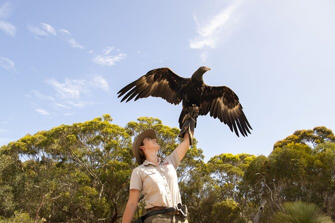 One Day Kangaroo Island Sip & See tour with return ferry transfers from Adelaide - A 17-hour introduction to Kangaroo Island