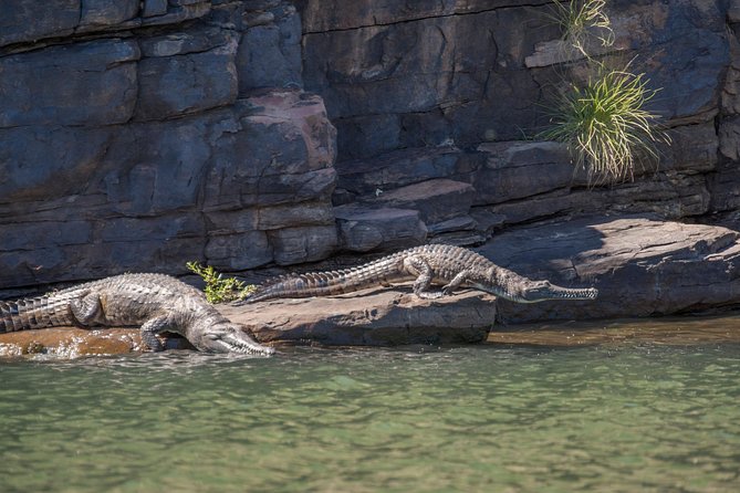 Ord River Discoverer Cruise with Sunset - Afternoon tea beside the Ord River