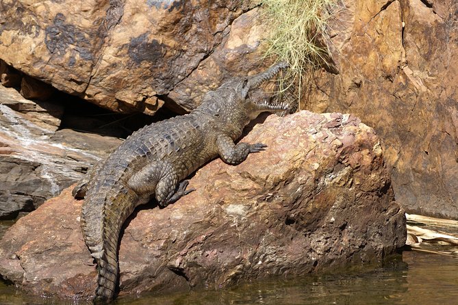 Ord River Explorer Cruise with Sunset - Why the dam matters to the Ord