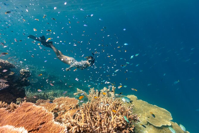 Outer Great Barrier Reef Snorkel Adventure in Airlie Beach - Reaching the reef from Shute Harbour