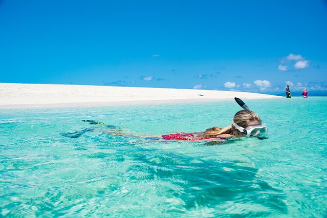 Outer Reef Mackay Cay Sail & Snorkel Adventure from Port Douglas - Glass-bottom views for a quieter reef experience