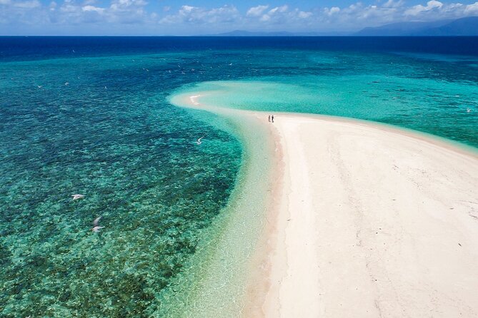 Outer Reef Mackay Cay Sail & Snorkel Adventure from Port Douglas - Who will enjoy this reef trip most?