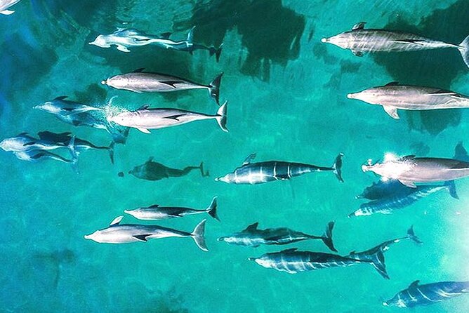 Outer Reef Odyssey - 40 minute Reef Scenic Flight - Key points at a glance