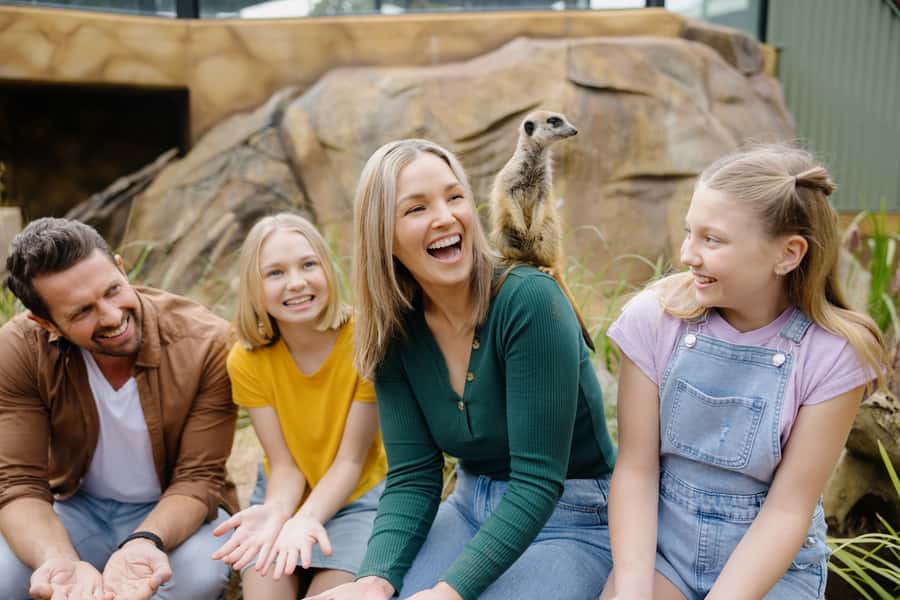 Paradise Country: Ultimate Aussie Farm Experience - Meet the meerkats and find Shaun the Sheep