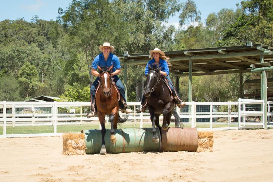 Paradise Country: Ultimate Aussie Farm Experience - The stockman shows are the heart of the visit