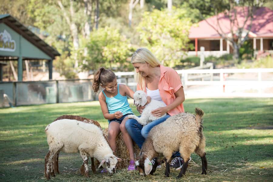 Paradise Country: Ultimate Aussie Farm Experience - Boomerangs and damper give the visit local character