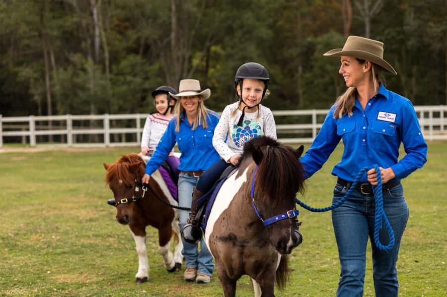 Paradise Country: Ultimate Aussie Farm Experience - Heat, noise and animal welfare considerations