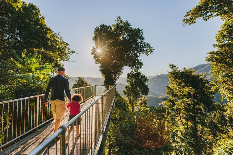 Paronella Park and Mamu Tropical Skywalk Ticket Combo - Why this combo works south of Cairns