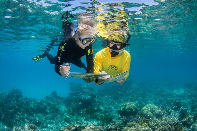 Passions of Paradise Great Barrier Reef Cruise by Catamaran - Two reef sites make this a full day, not a quick look