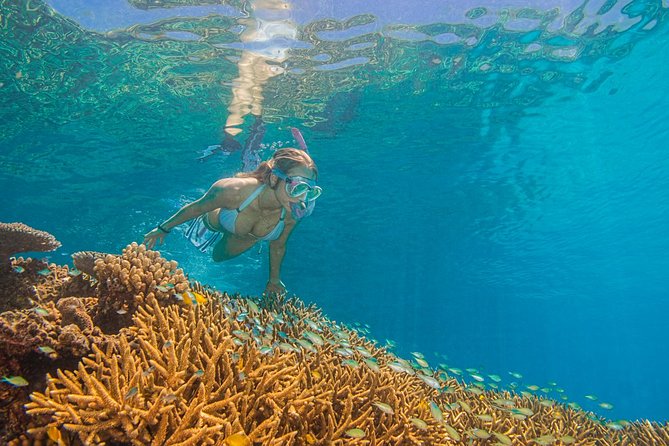 Passions of Paradise Great Barrier Reef Cruise by Catamaran - Is the price of $192.94 good value?