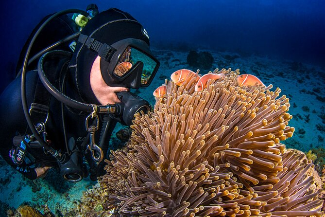 Passions of Paradise Great Barrier Reef Cruise by Catamaran - Timing, meeting point, and what to bring