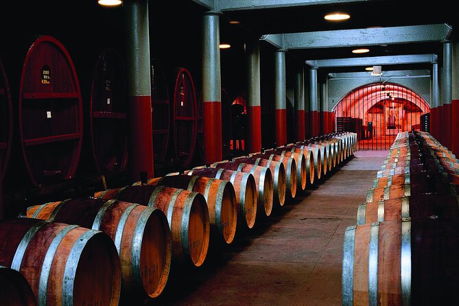 Penfolds Magill Estate Iconic Experience - Key points to know before booking