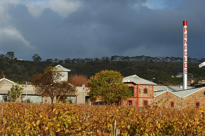 Penfolds Magill Estate Iconic Experience - The first walk through Grange Cottage