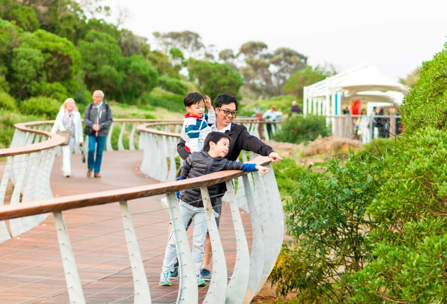 Penguin Parade: General Viewing Ticket - Arriving before sunset at the visitor centre