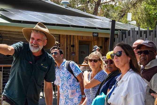 Penguin Parade, & Wildlife Encounters Eco Tour from Melbourne - Summer stops at Cape Woolamai and Cowes