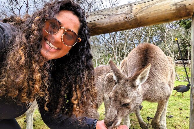 Penguin Parade, & Wildlife Encounters Eco Tour from Melbourne - The Penguin Parade: what the evening is really like