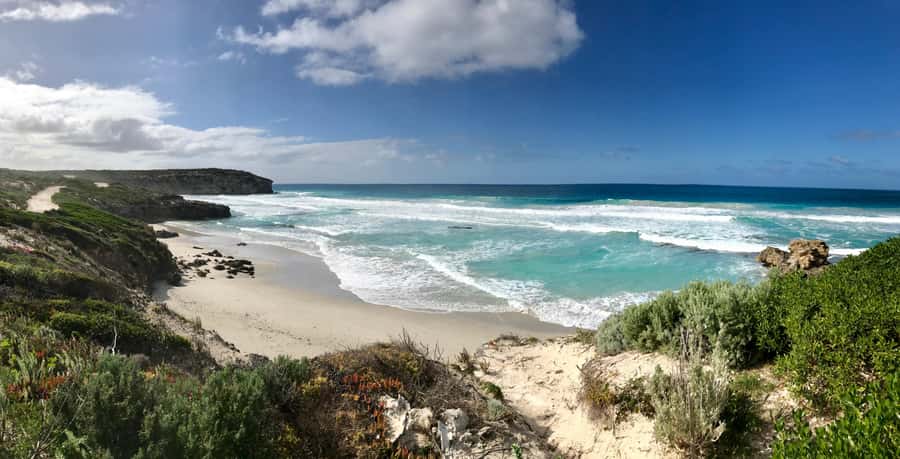 Penneshaw: Shore Excursion Kangaroo Island Scenic Tour - Key points to know before booking