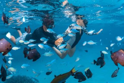 7 Day Exmouth Explorer & Ningaloo Reef Return Perth