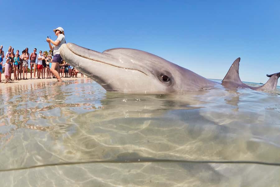 Perth: 7 Day Exmouth Explorer & Ningaloo Reef Return Perth - The long return south